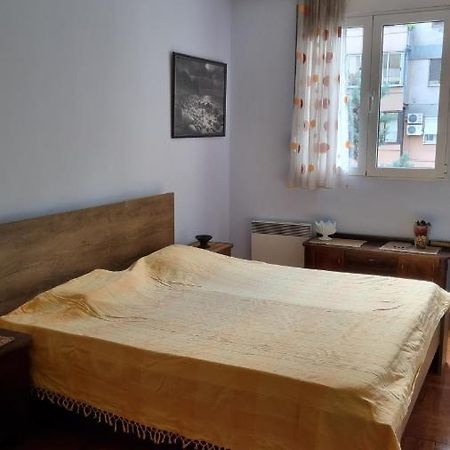 Apartment Z Ποντγορίτσα Εξωτερικό φωτογραφία