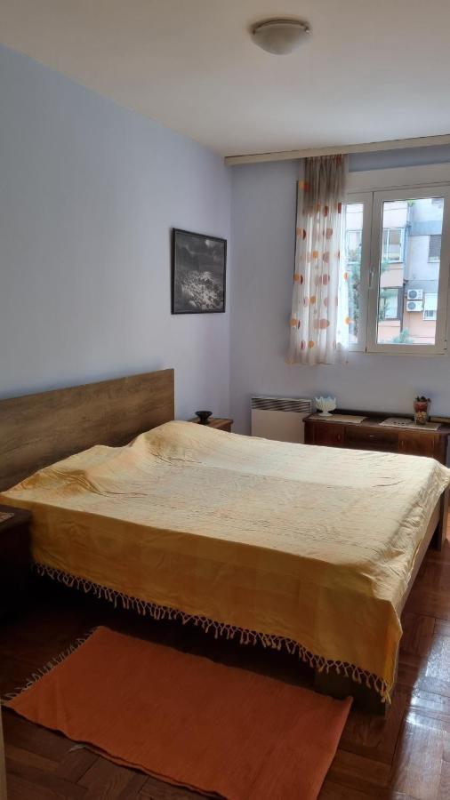 Apartment Z Ποντγορίτσα Εξωτερικό φωτογραφία